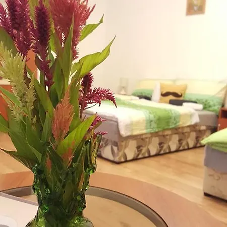 Guest house Bajusz Vendeghaz Tornyosnemeti