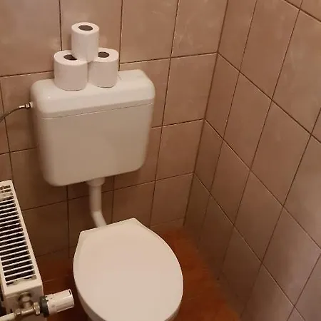 Bajusz Vendeghaz * Tornyosnemeti