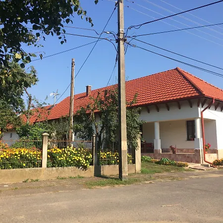 Bajusz 3*