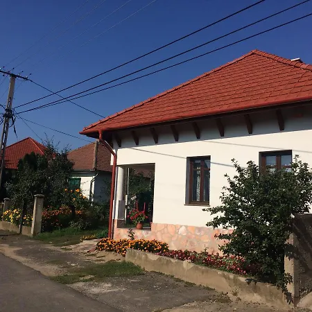 Guest house Bajusz Vendeghaz