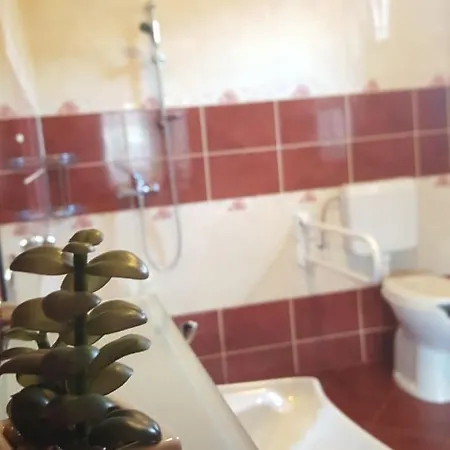 Bajusz 3* Tornyosnémeti