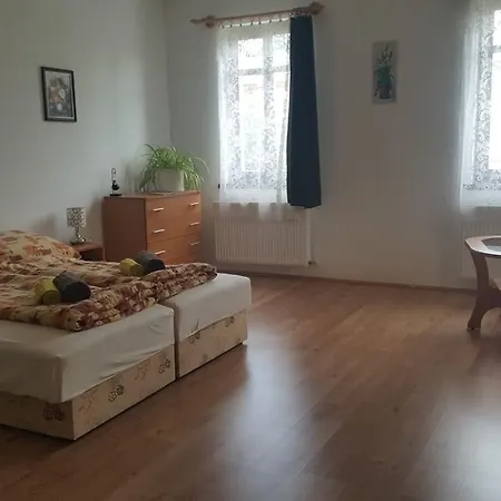 Bajusz Tornyosnémeti