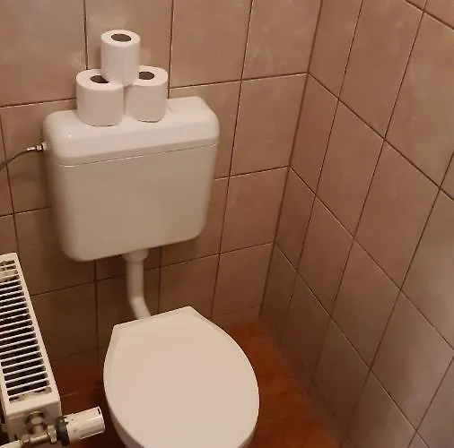 Bajusz Vendeghaz 3* Tornyosnemeti